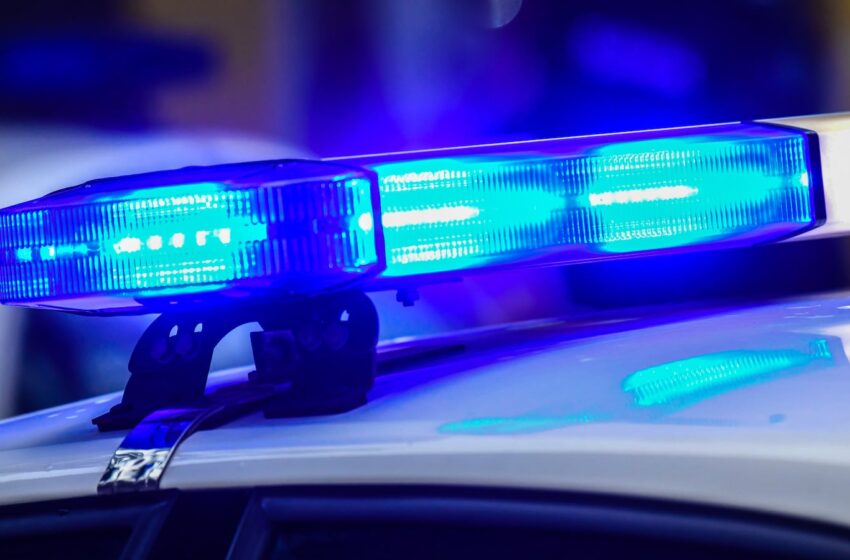  Dajour Ellison, Wilmington Police Identify Man Killed in Creekwood Neighborhood Shooting