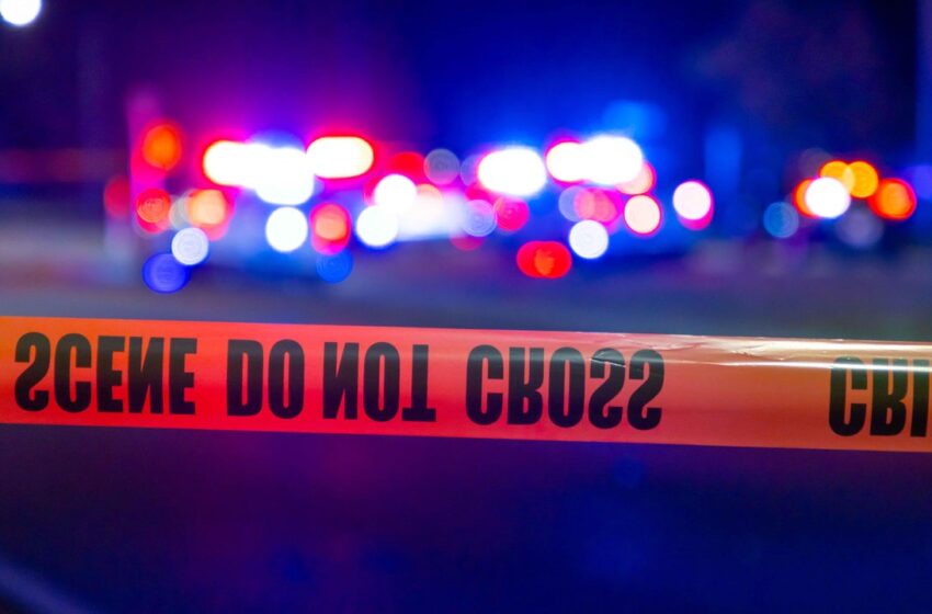  David Hall Obituary, Death: Man and dog killed in Albany Thruway crash.