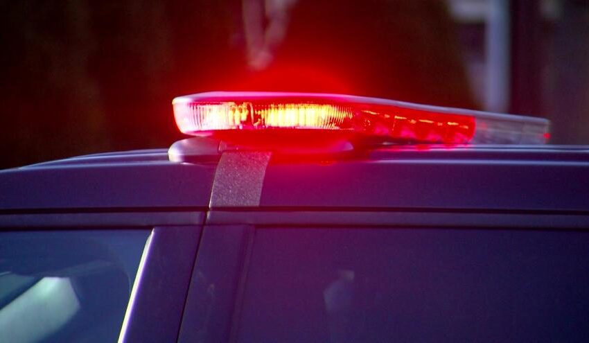  Porsche Christinia Vaughn Obituary, Death Cause: Woman killed in Nelson County car crash