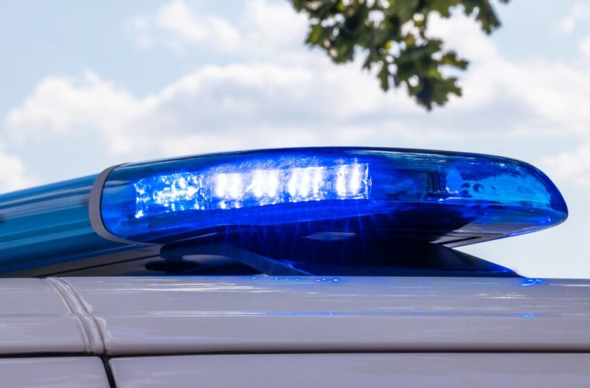  Taisha Dale, Suspect Detained Following Tragic Hit-and-Run Incident in Oklahoma City.